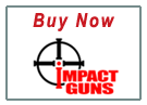 Buy Now 380ACP carbine - Hi-Point Firearms Model 3895